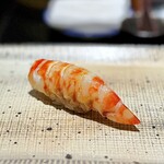 鮨 西崎 - 茹で立ての車海老。
      甘さが充実しています。