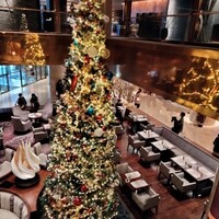  「メトロポリタングリル」 ヒルトン東京 - 
