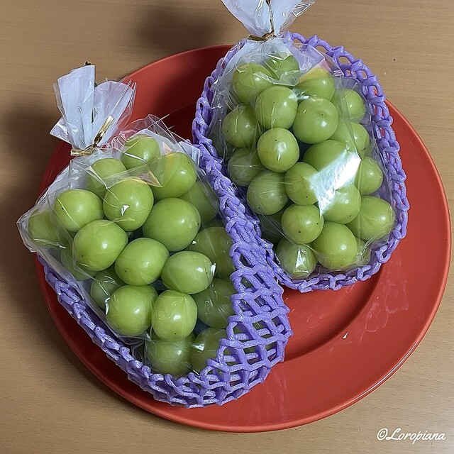 谷代果樹園 - 安子ケ島（その他）の写真