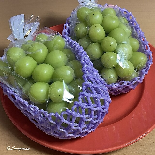 谷代果樹園 - 安子ケ島（その他）の写真