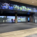 NOMI RESTAURANT - 参考写真。大阪駅こんなことになってるのね