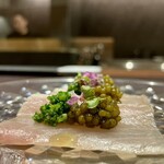 イル アオヤマ - 