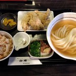 讃岐うどん 白庵 - ひやひやとり天セット