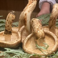 富小路 やま岸 - 