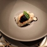 MODERNISM - 虎河豚　白子