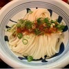 江戸堀 木田 讃岐うどん