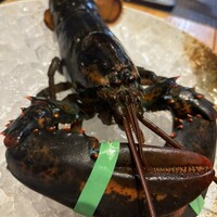 四ツ橋・新町 牡蠣と肉たらしビストロAKIRA - 