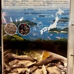 レッドロブスター - オイスターの説明