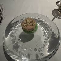 XEX TOKYO / Salvatore Cuomo Bros. - 