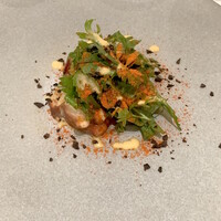 ARMONICO - 