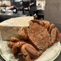TOSAGE - 