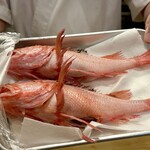 どぜう・四季料理 やぶや - 北海道産キンキ、デッカくて身がパンパン！！
      こんなのを煮付けにしたら東京や北海道の観光地で食べたら一万円近くになるそうです。それをやぶやではなんと4,400円でやってくれましたよ！(≧∀≦)☆