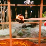 茶館きっかわ 嘉門亭 - 美味いよ