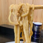 食堂 はせ川 - 美味しい中太麺