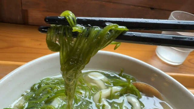 釜揚げ屋 - 陸中山田（うどん）の写真