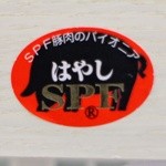 丸山吉平 - はやし