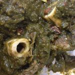 インド･パキスタン料理 ホット・スプーン - マトンパラク