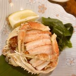 川端鮮魚店 片町店 - 香箱がに