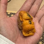 鮨 冨味 - 最高すぎ