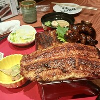 炭焼 うな富士 有楽町店 - 