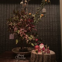 寿司 はせ川 西麻布店 - 