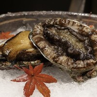 日本焼肉はせ川 別亭 銀座店 - 蝦夷鮑