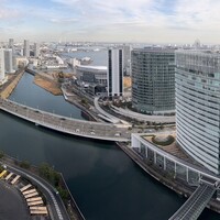 横浜 星のなる木 - 