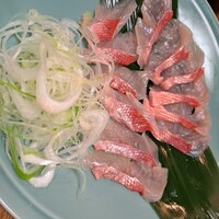 浅草 魚料理 遠州屋 - 
