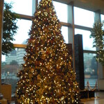 横浜ロイヤルパークホテル - クリスマスツリー