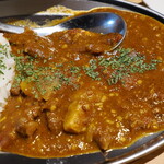 NIBOSHI MANIA - カレー部分