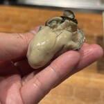 初音鮨 - 真牡蠣