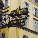 Goldener Adler - 