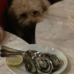 DAVELLO gastropub - 生牡蠣