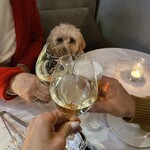 DAVELLO gastropub - 乾杯