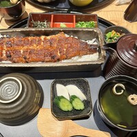 うなぎ四代目菊川 ミッドランドスクエア 名古屋本店 - 