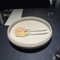 セルサルサーレ - 