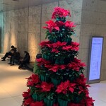 ホテルオークラ 中国料理「桃花林」 - 25日、見納めですよん〜また、来年会いましょう〰️♪ランラン〜ラン♪‥