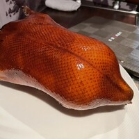 家寶 跳龍門 -  家寶 跳龍門 -