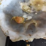 海湖館きらく市食堂 - お客様が入ってました