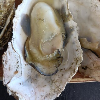 海湖館きらく市食堂_1