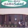 土の中のＳalad