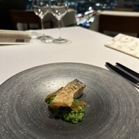 XEX TOKYO / Salvatore Cuomo Bros. - 