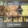 カカオサンパカ 丸の内本店