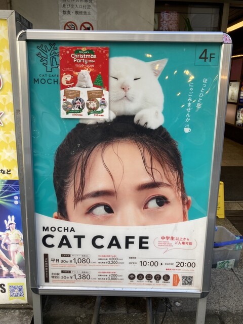 猫カル様 ご確認用 しいる