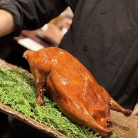 新中国料理HARAKAWA 北新地店 - 