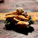 MAZ - ◉DESERTIC SHORELINE  18 MASL
      (海岸砂漠)