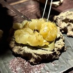 MAZ - ◉WOODS IN THE HIGHLANDS  3260 MASL
      (高地の森林)