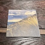 MAZ - ◉料理をイメージしたテクスチャーカード