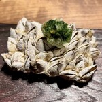 MAZ - ◉COASTAL SEAFLOOR  - 10 MBSL
      (浅瀨)