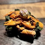 MAZ - ◉DESERTIC SHORELINE  18 MASL
      (海岸砂漠)